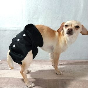 Dog diaper